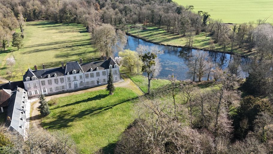 château 22 Pièces en vente sur HUISSEAU SUR MAUVES (45130)