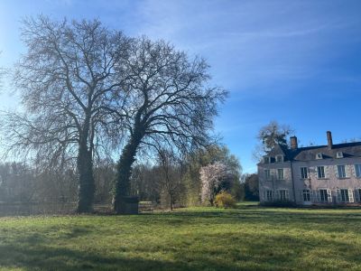 Vente Château Huisseau-sur-Mauves 22&nbsp;Pièces 900&nbsp;m²