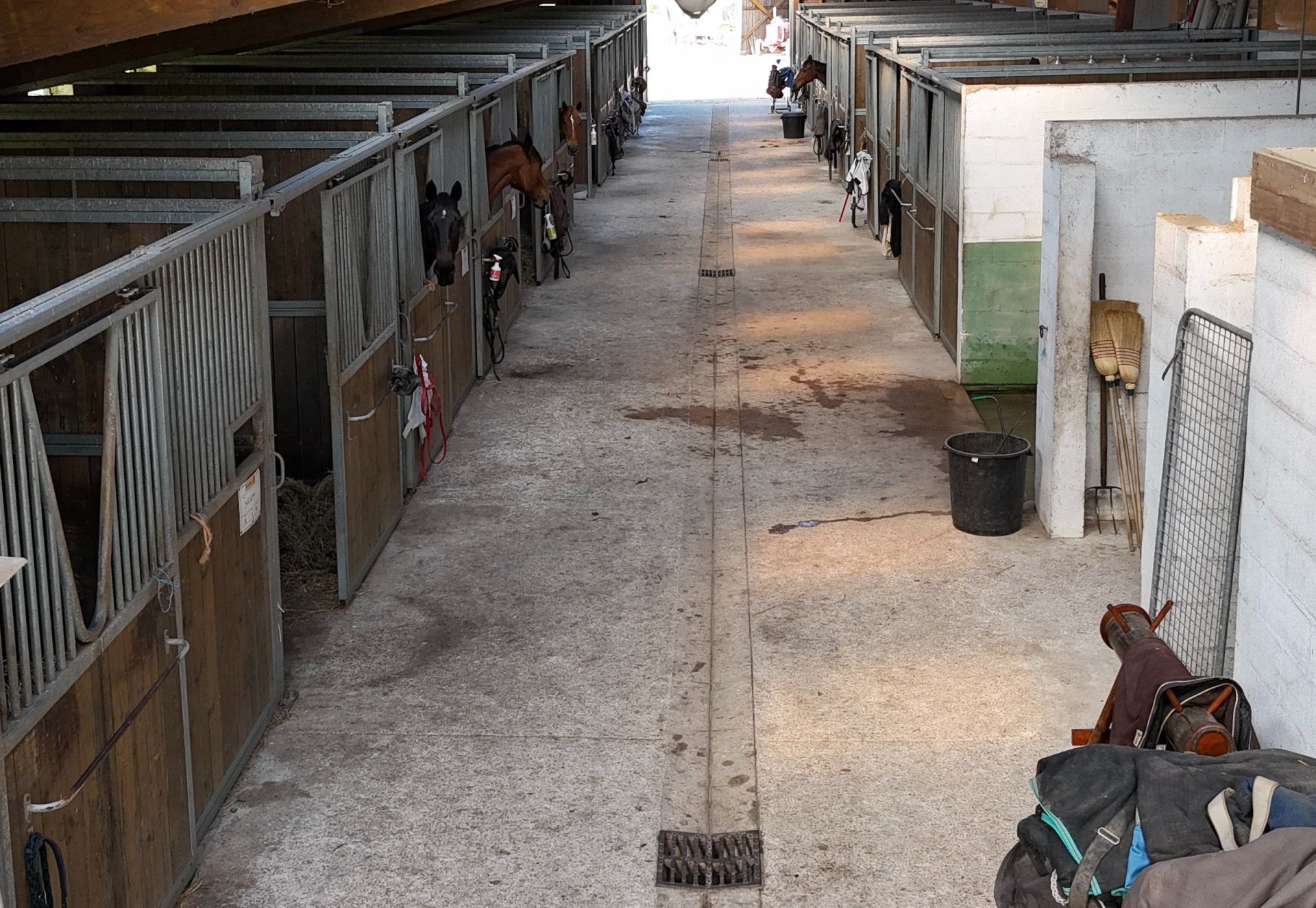 equestrian property 7 Rooms for sale on ARDON (45160)