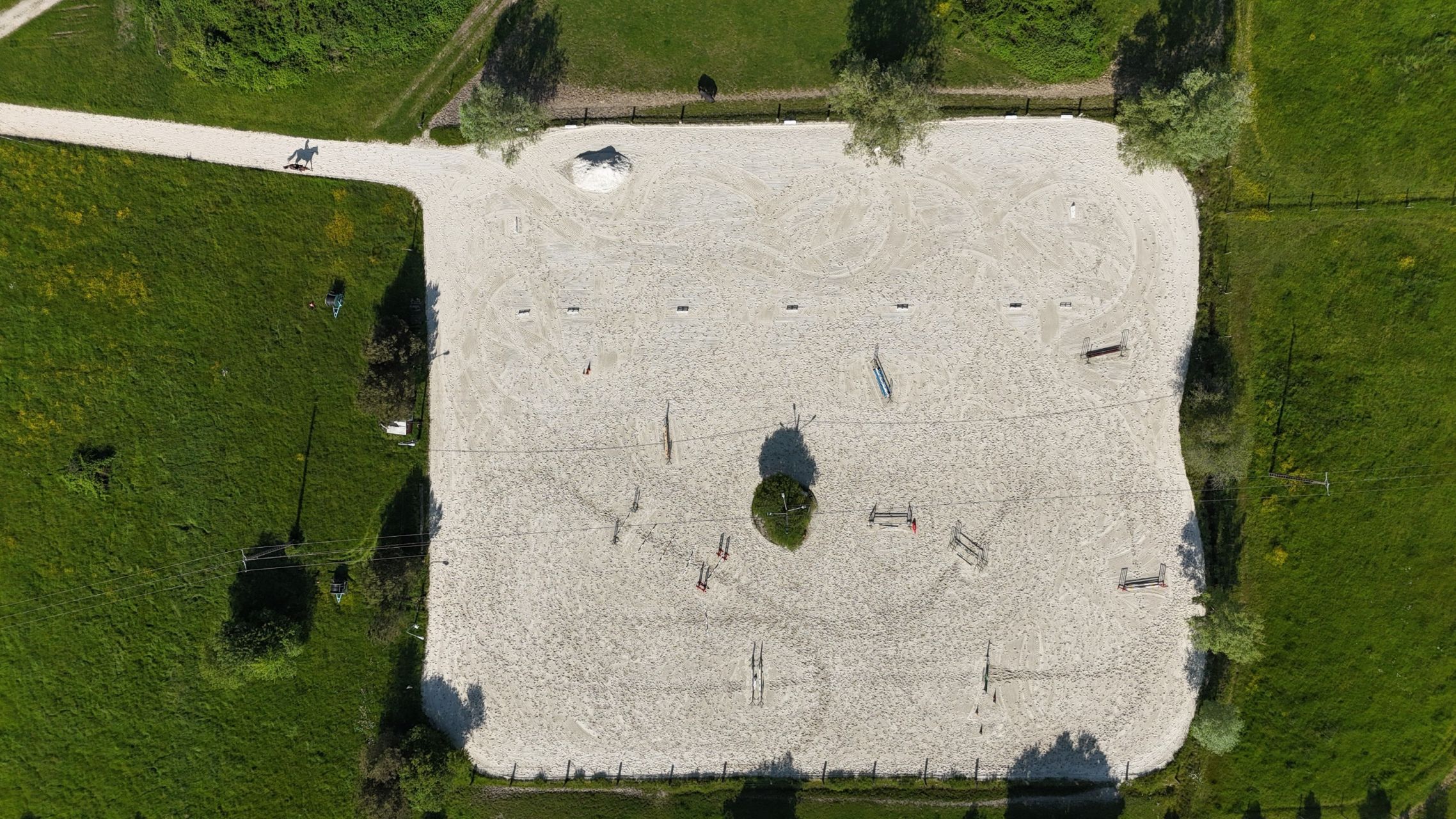 equestrian property 7 Rooms for sale on ARDON (45160)