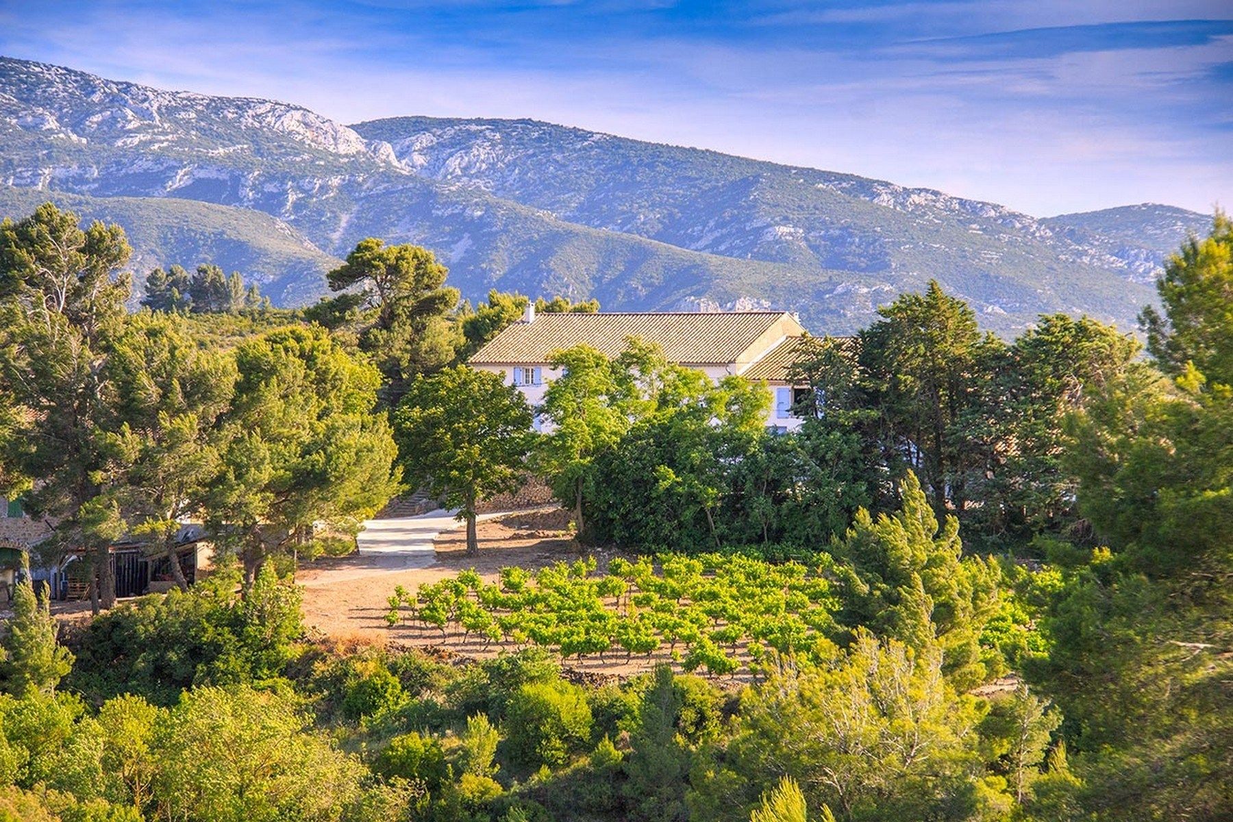 propriété de luxe 20 Pièces en vente sur VILLESEQUE DES CORBIERES (11360)