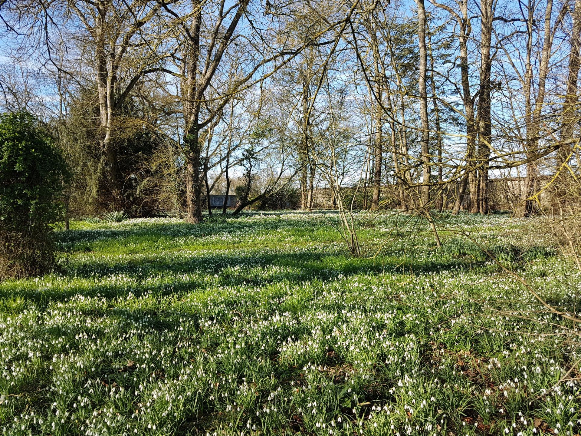 maison de luxe 11 Pièces en vente sur CHAINGY (45380)