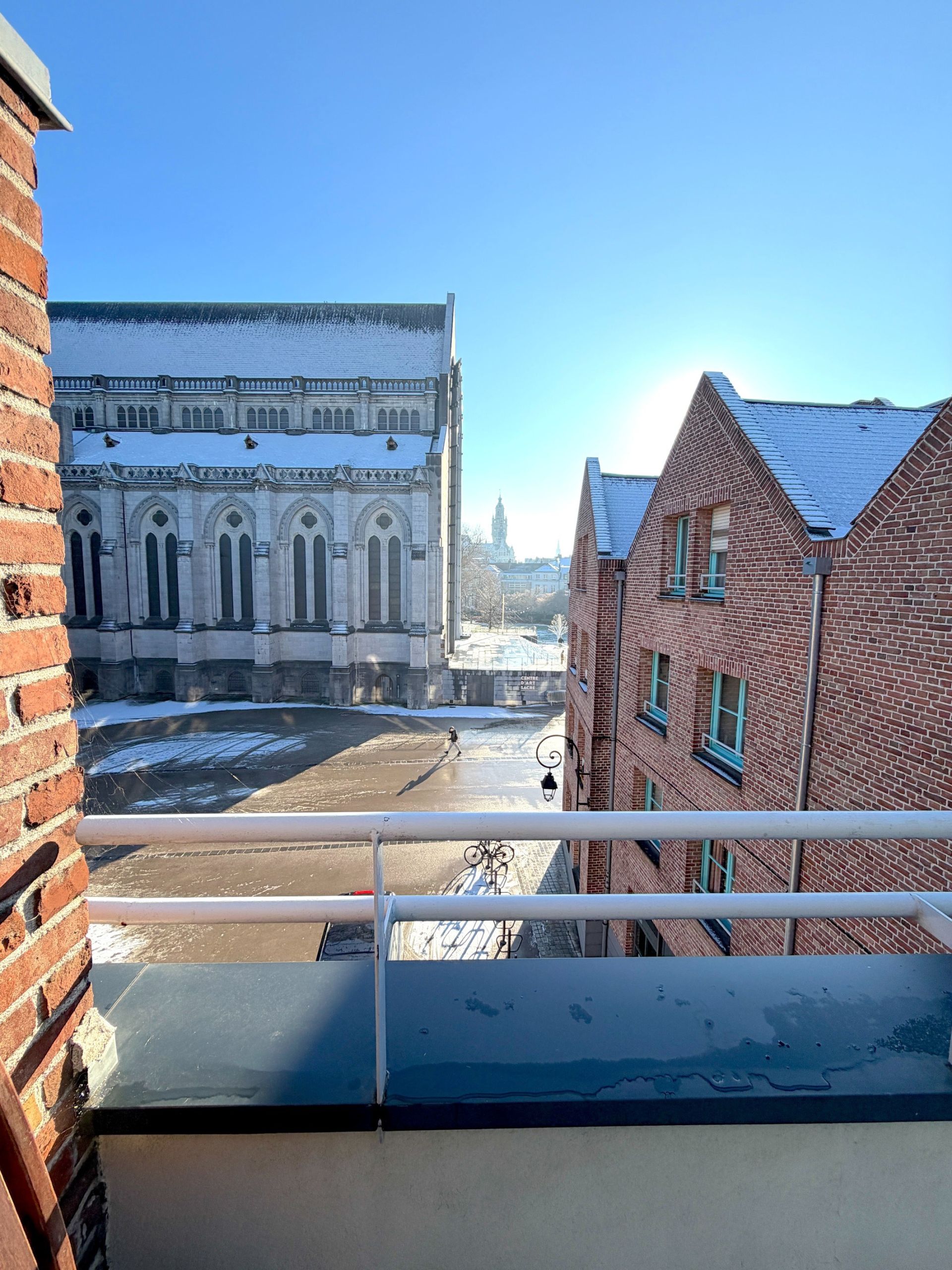 appartement de luxe 4 Pièces en location sur LILLE (59800)