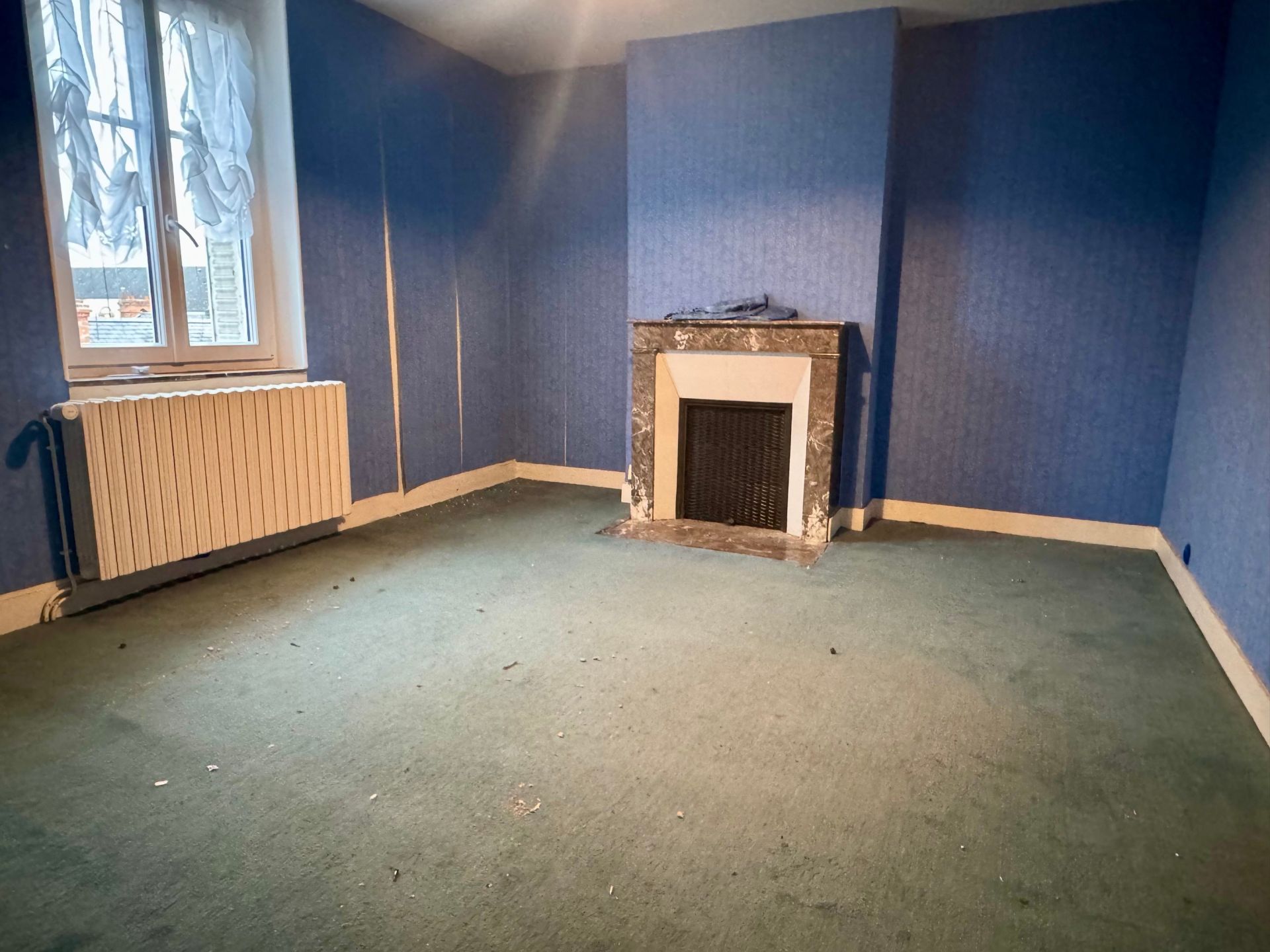 maison de luxe 10 Pièces en vente sur ORLEANS (45000)