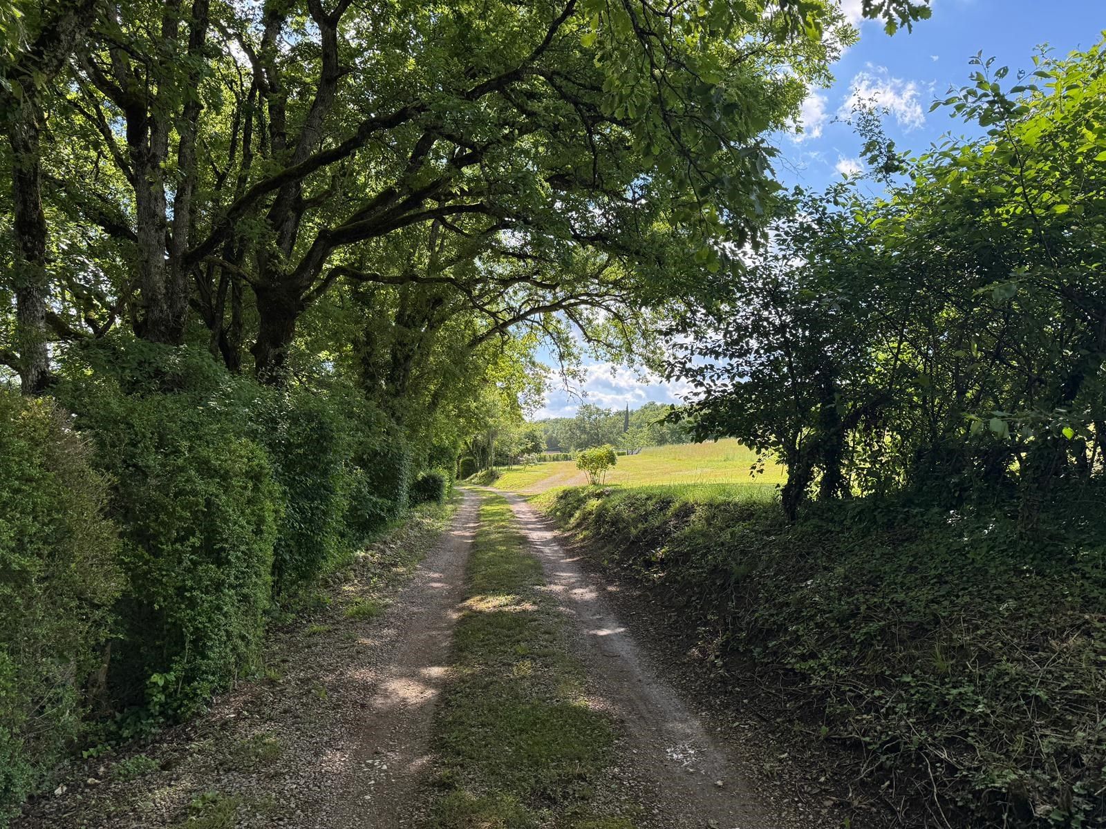 ferme de luxe 5 Pièces en vente sur GAILLAC (81600)