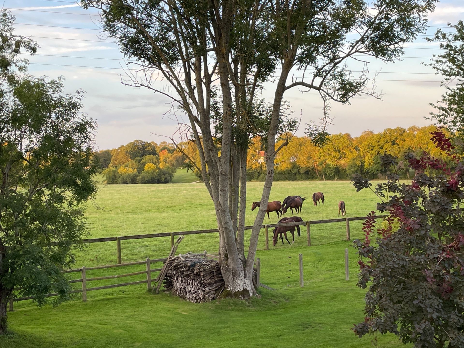 maison de luxe 6 Pièces en vente sur PONT L EVEQUE (14130)