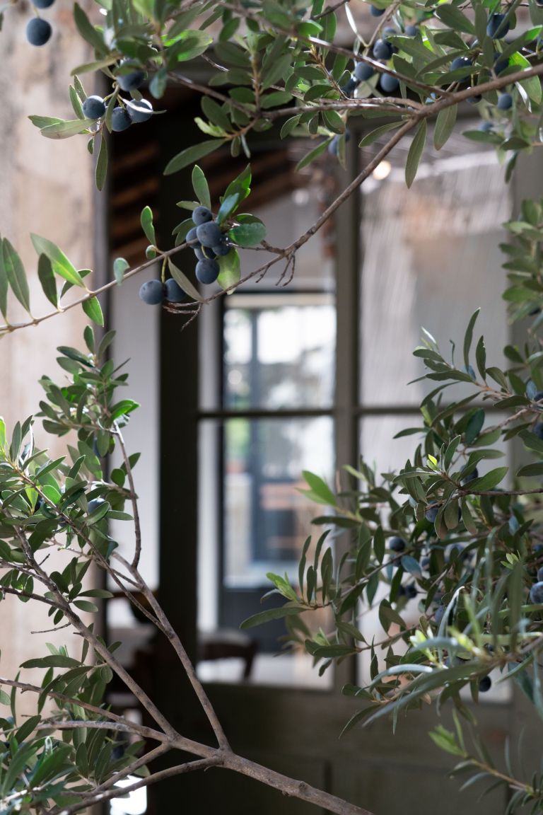 luxury house 4 Rooms for sale on ST REMY DE PROVENCE (13210)