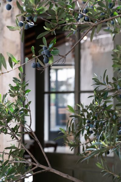 Sale Luxury house Saint-Rémy-de-Provence 4&nbsp;Rooms 145&nbsp;m²