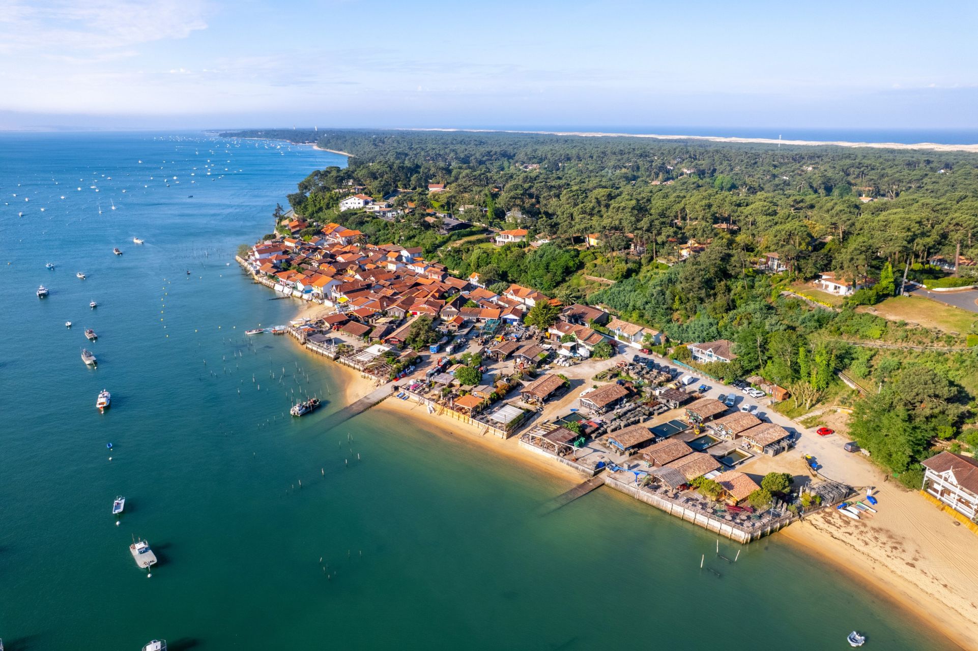 luxury house 9 Rooms for sale on CAP FERRET (33970)