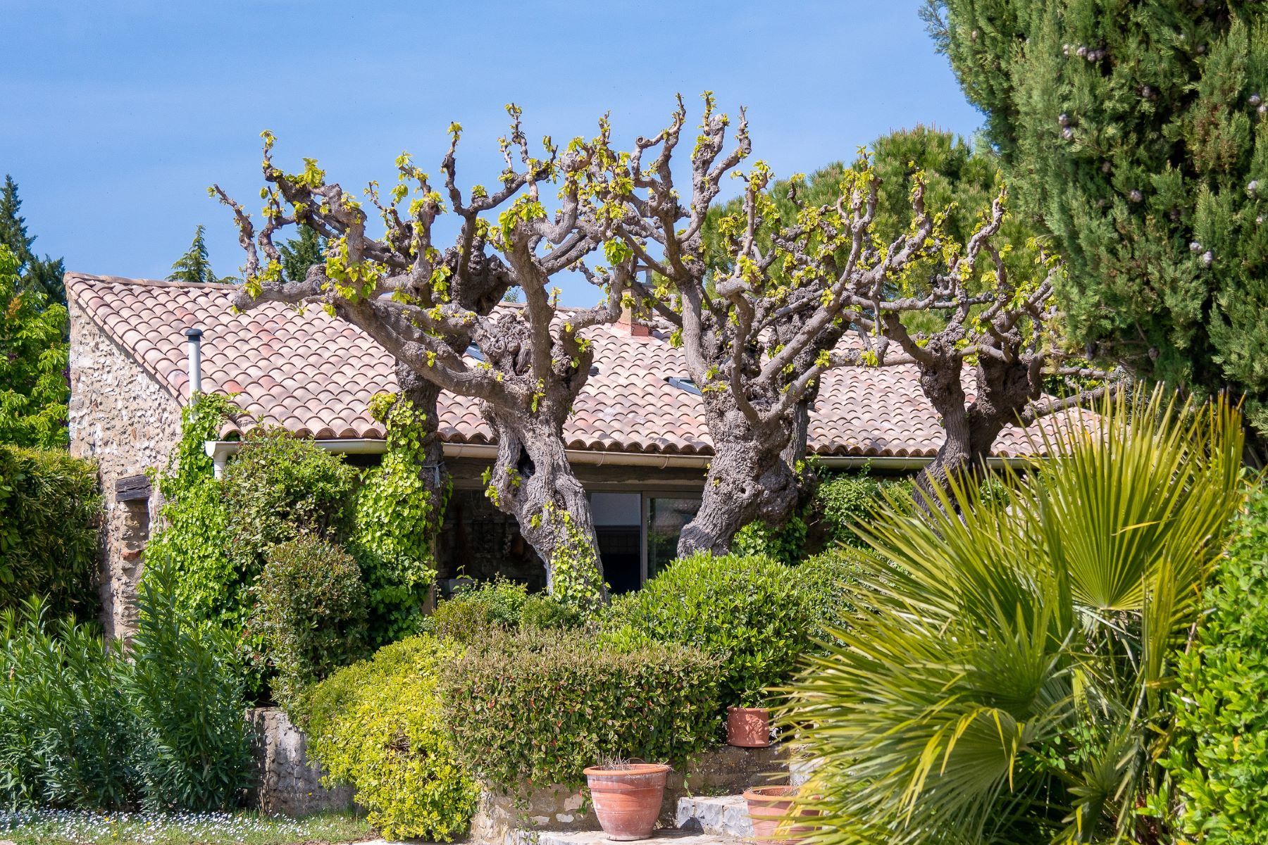 propriété de luxe 11 Pièces en vente sur UZES (30700)