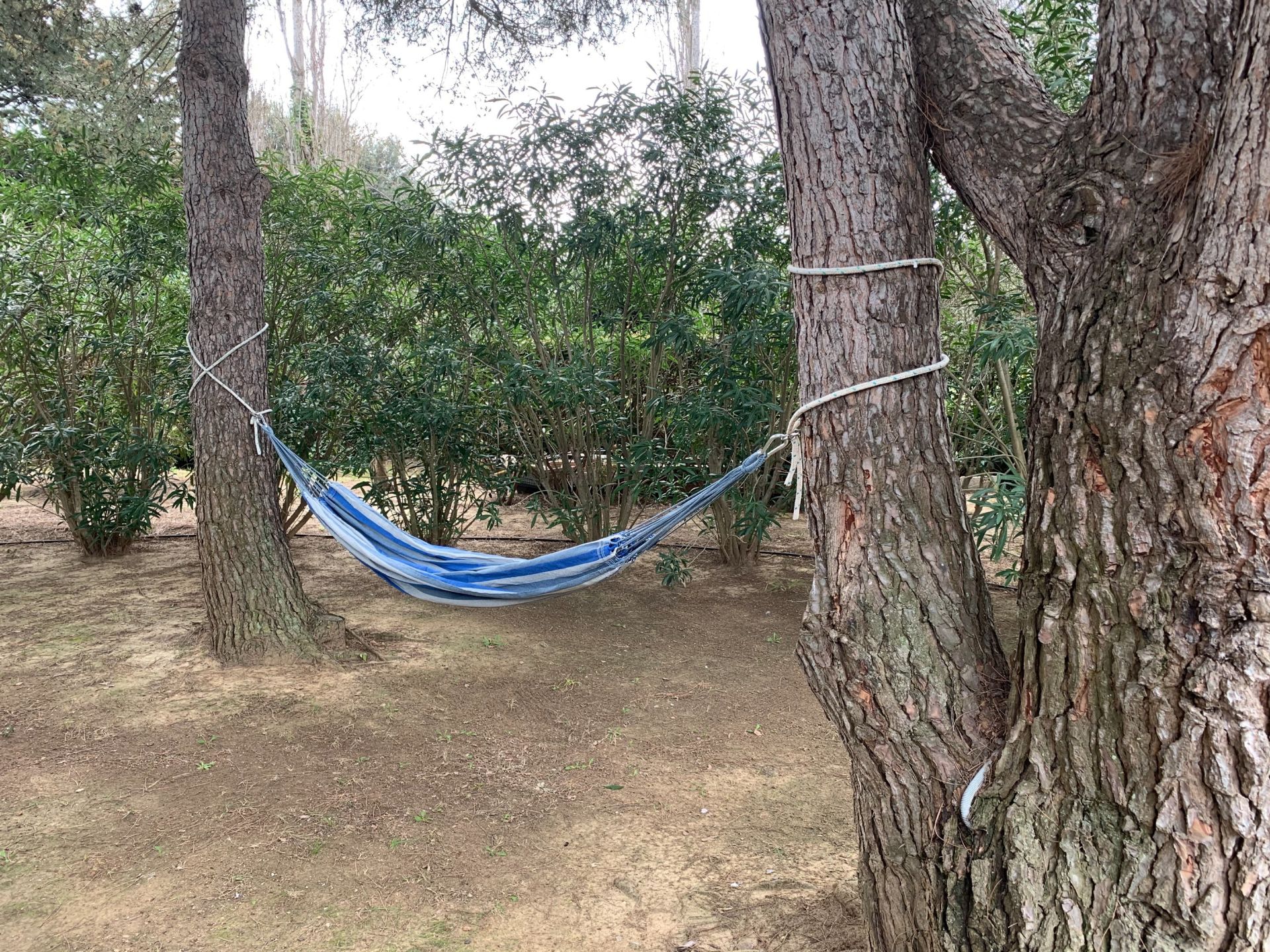 maison de luxe 5 Pièces en vente sur PERPIGNAN (66000)