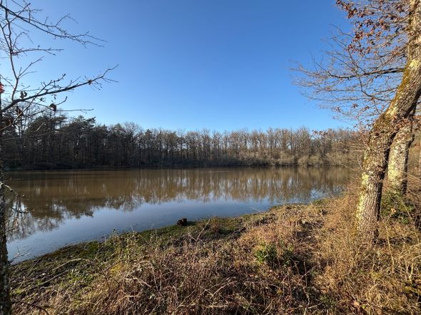 Vente Propriété de chasse de luxe Isdes 2&nbsp;Pièces 80&nbsp;m²