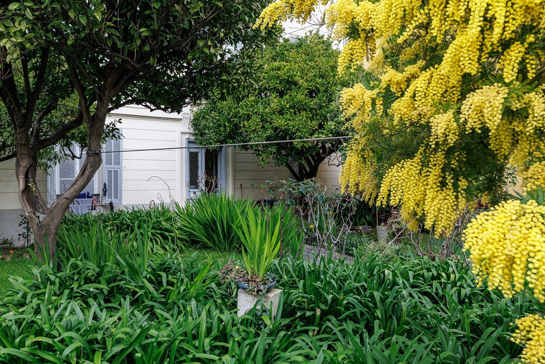 immeuble en vente sur NICE (06000)