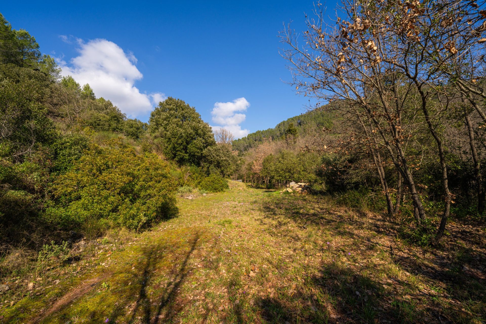 luxury house 2 Rooms for sale on GONFARON (83590)