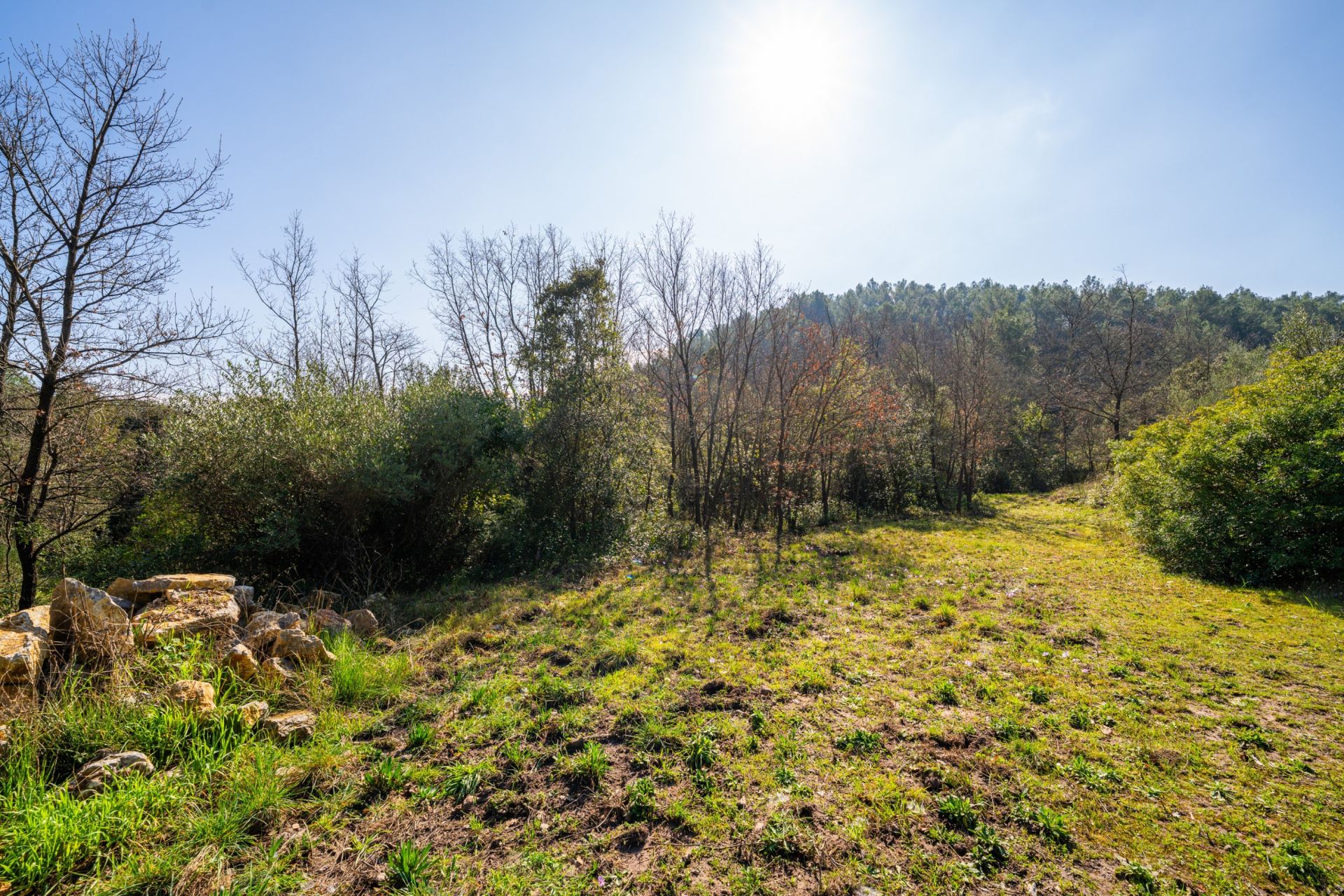 luxury house 2 Rooms for sale on GONFARON (83590)