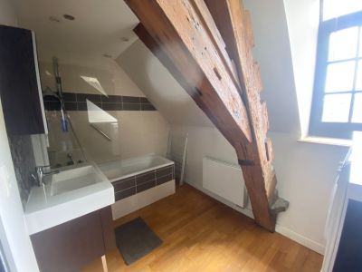 Rental Luxury apartment Lille 4&nbsp;Rooms 129&nbsp;m²