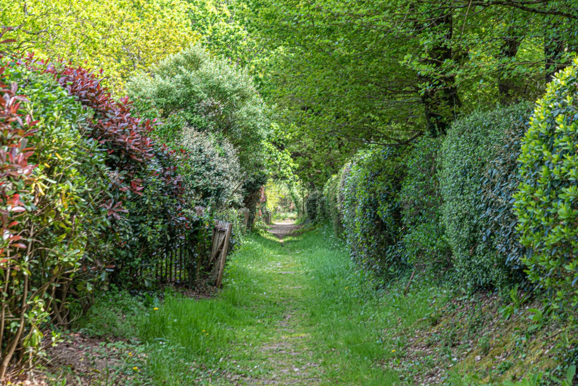 villa de luxe 7 Pièces en location saisonnière sur SARZEAU (56370)