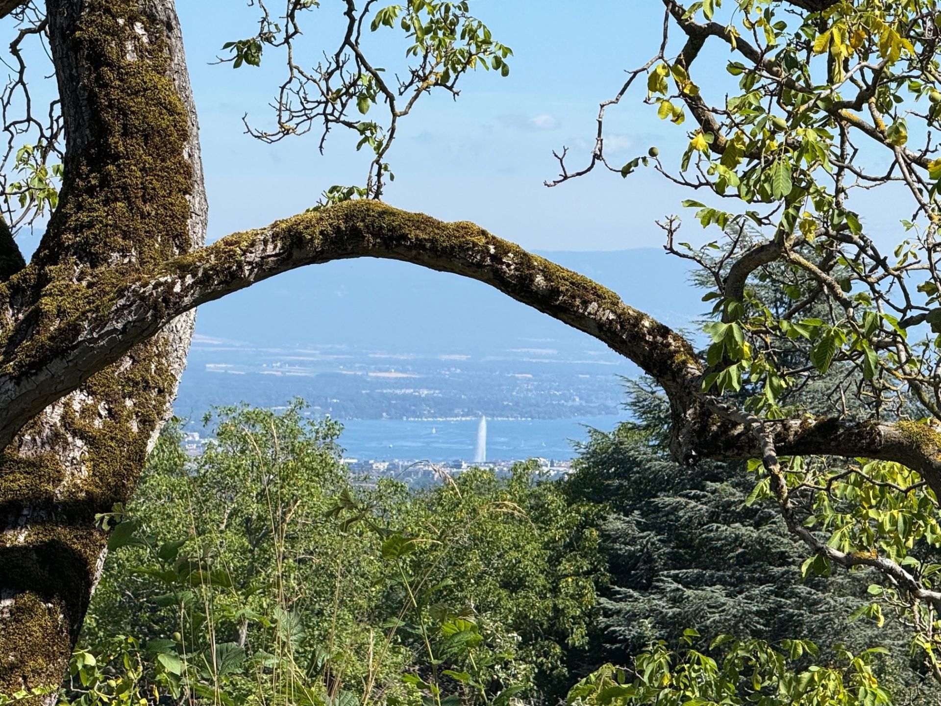 corps de ferme 21 Pièces en vente sur ARCHAMPS (74160)
