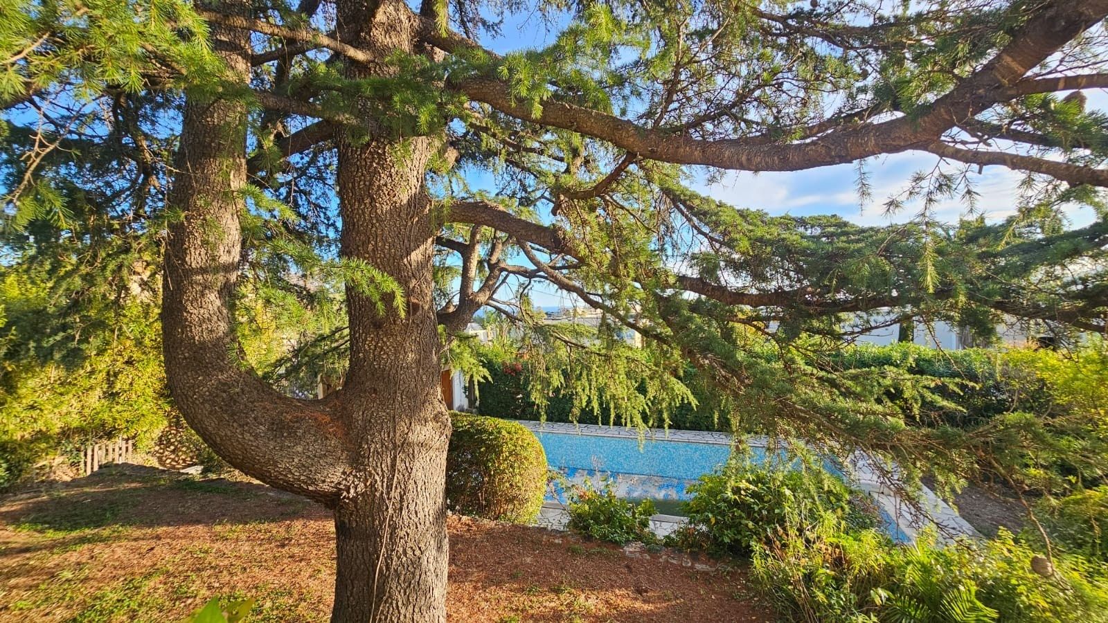 luxury villa 4 Rooms for sale on CANNES (06400)