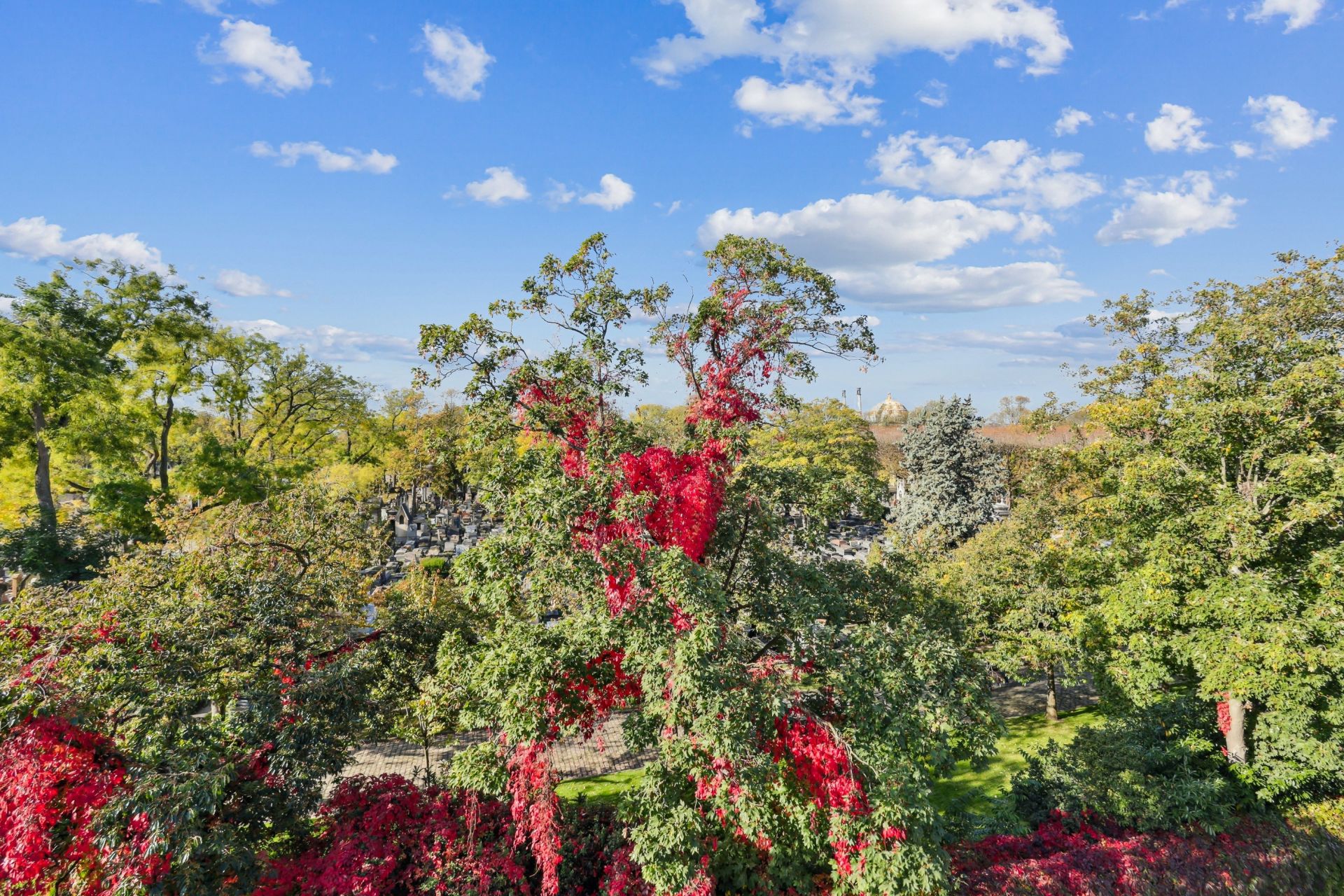maison de luxe 11 Pièces en vente sur PARIS (75020)