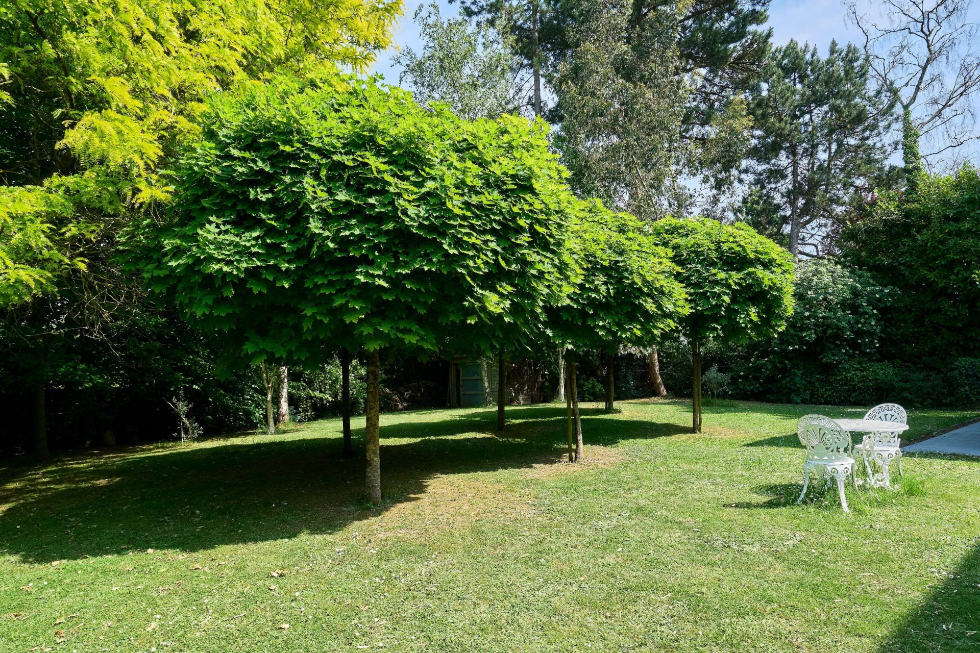 luxury house 5 Rooms for sale on MOUVAUX (59420)