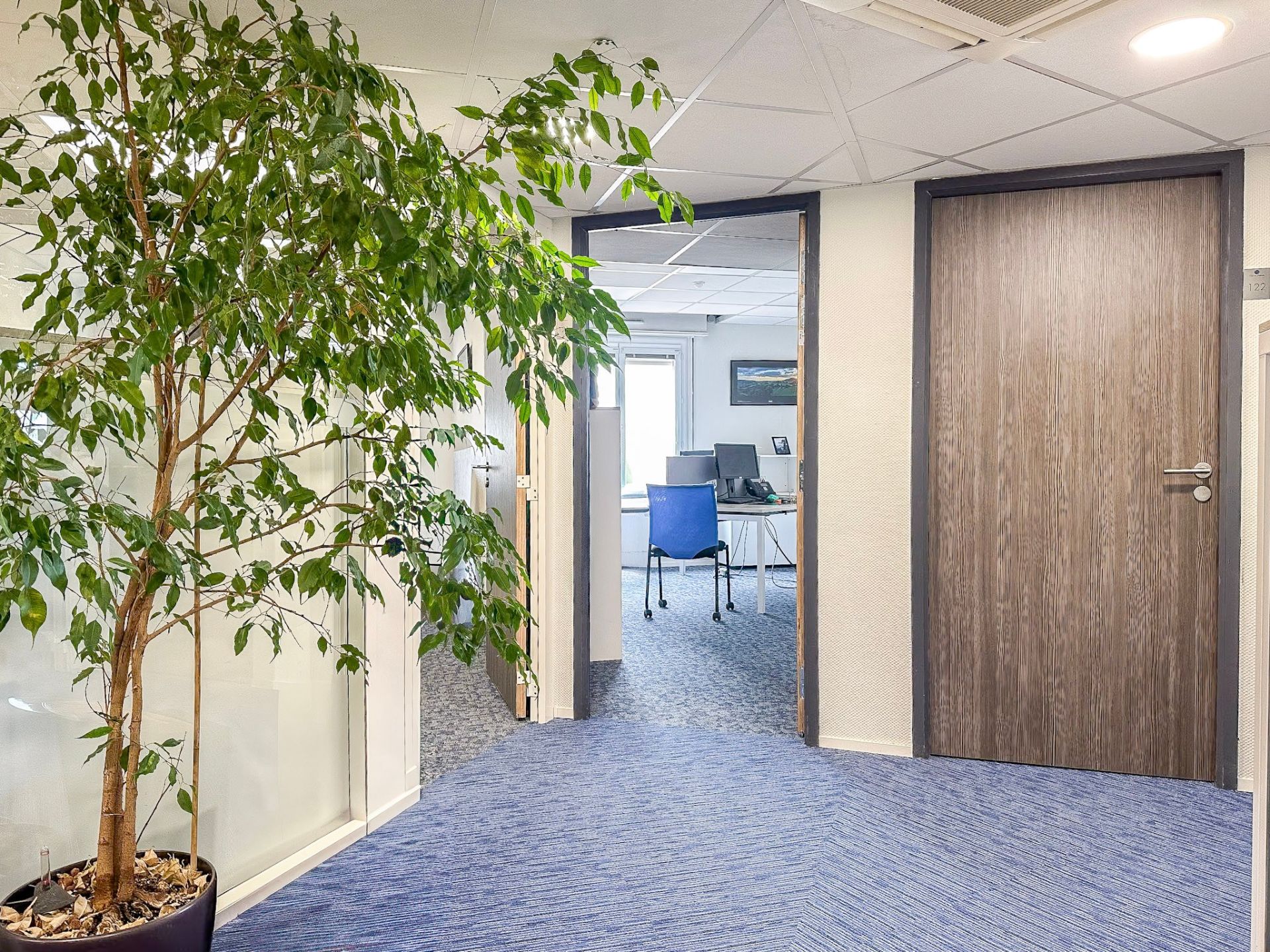 immeuble en vente sur CASTRES (81100)