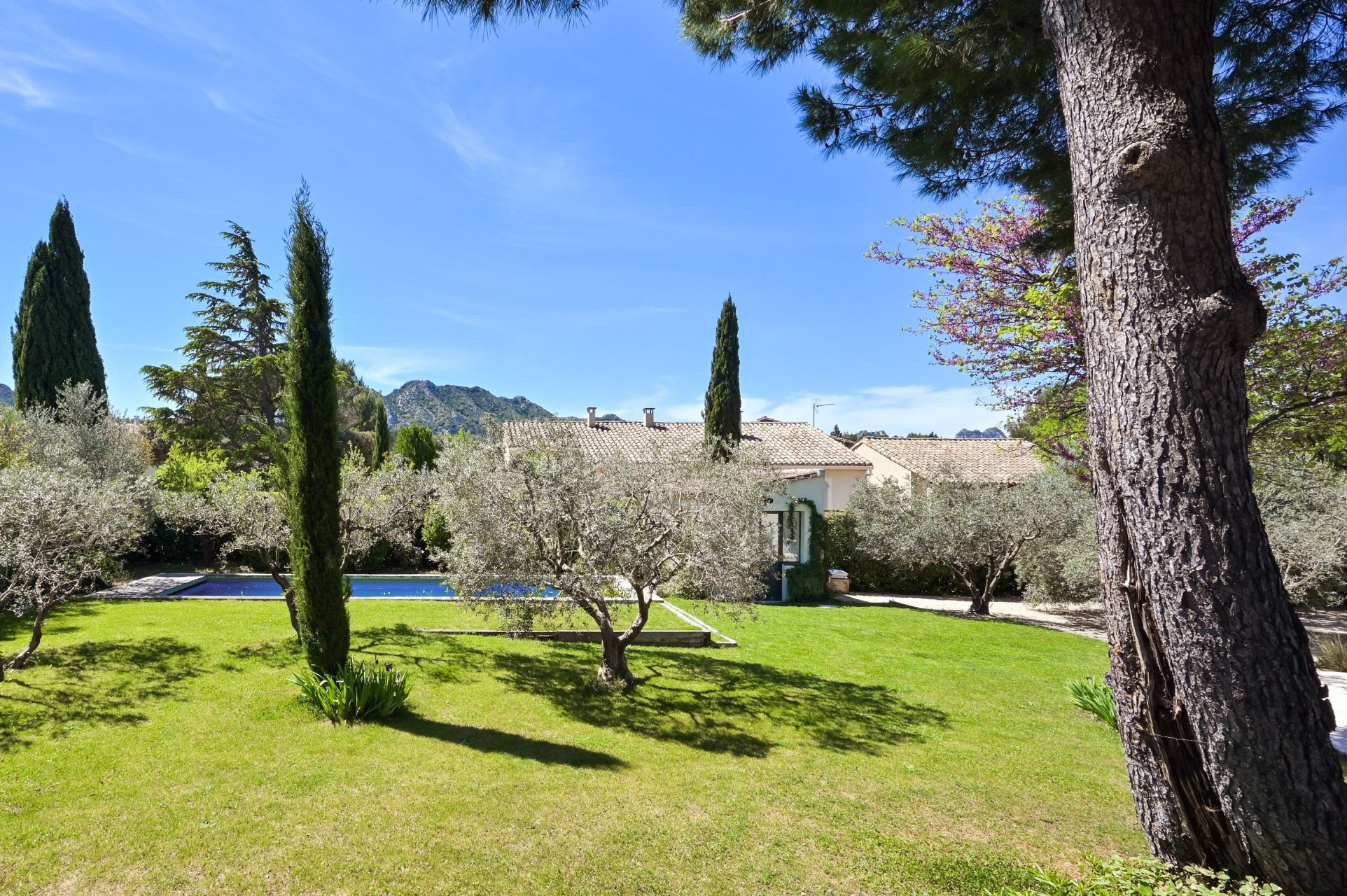 luxury house 7 Rooms for sale on EYGALIERES (13810)