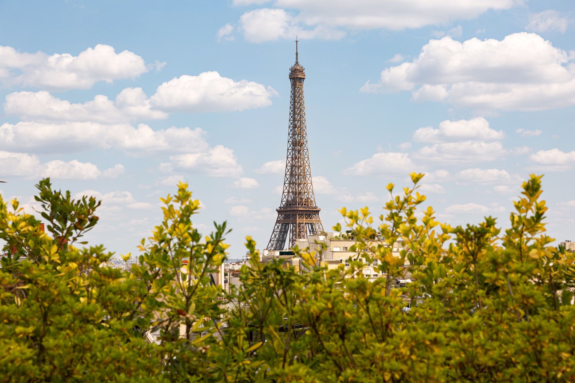 appartement de luxe 5 Pièces en vente sur PARIS (75016)