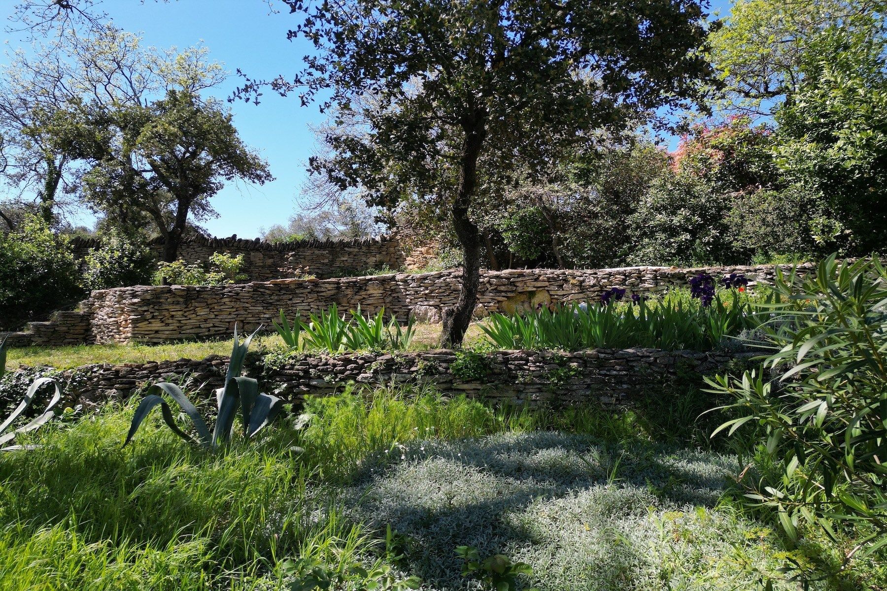 maison de luxe 6 Pièces en vente sur CASTILLON DU GARD (30210)