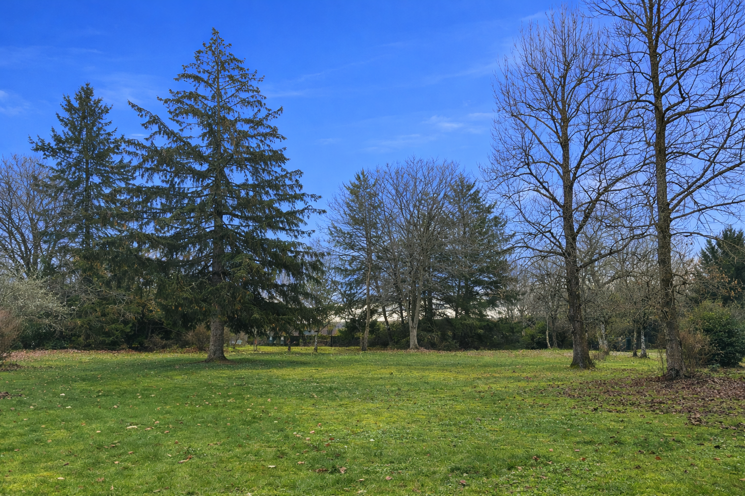 luxury house 5 Rooms for sale on CHAUMONT SUR THARONNE (41600)