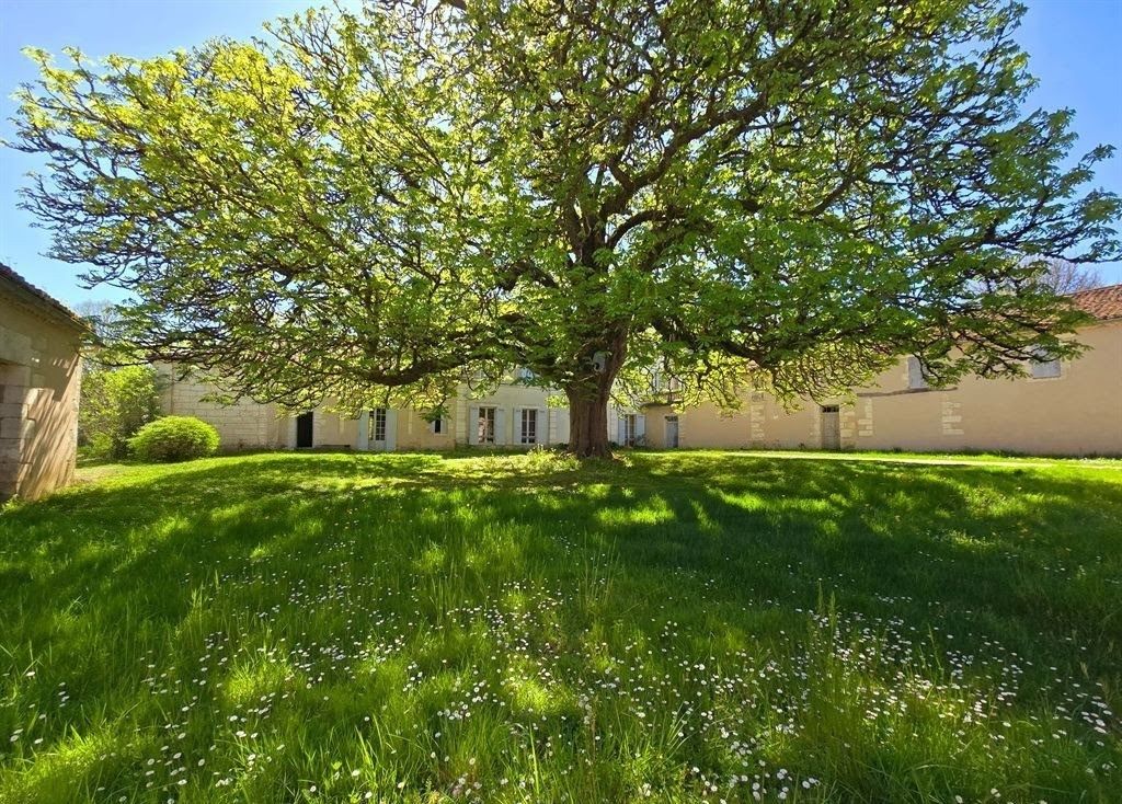 maison de luxe 20 Pièces en vente sur PERIGUEUX (24000)