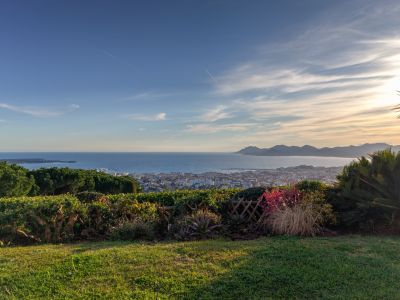 Vente Maison provençale de luxe Cannes 5&nbsp;Pièces 214&nbsp;m²