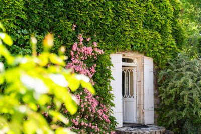 Vente Maison bourgeoise Thairé 8&nbsp;Pièces 235&nbsp;m²