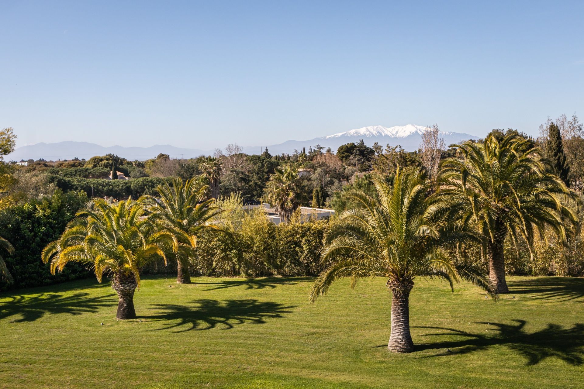 maison de luxe 8 Pièces en vente sur PERPIGNAN (66000)