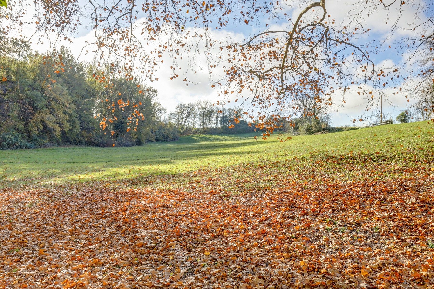 maison de luxe 12 Pièces en vente sur PUYLAURENS (81700)