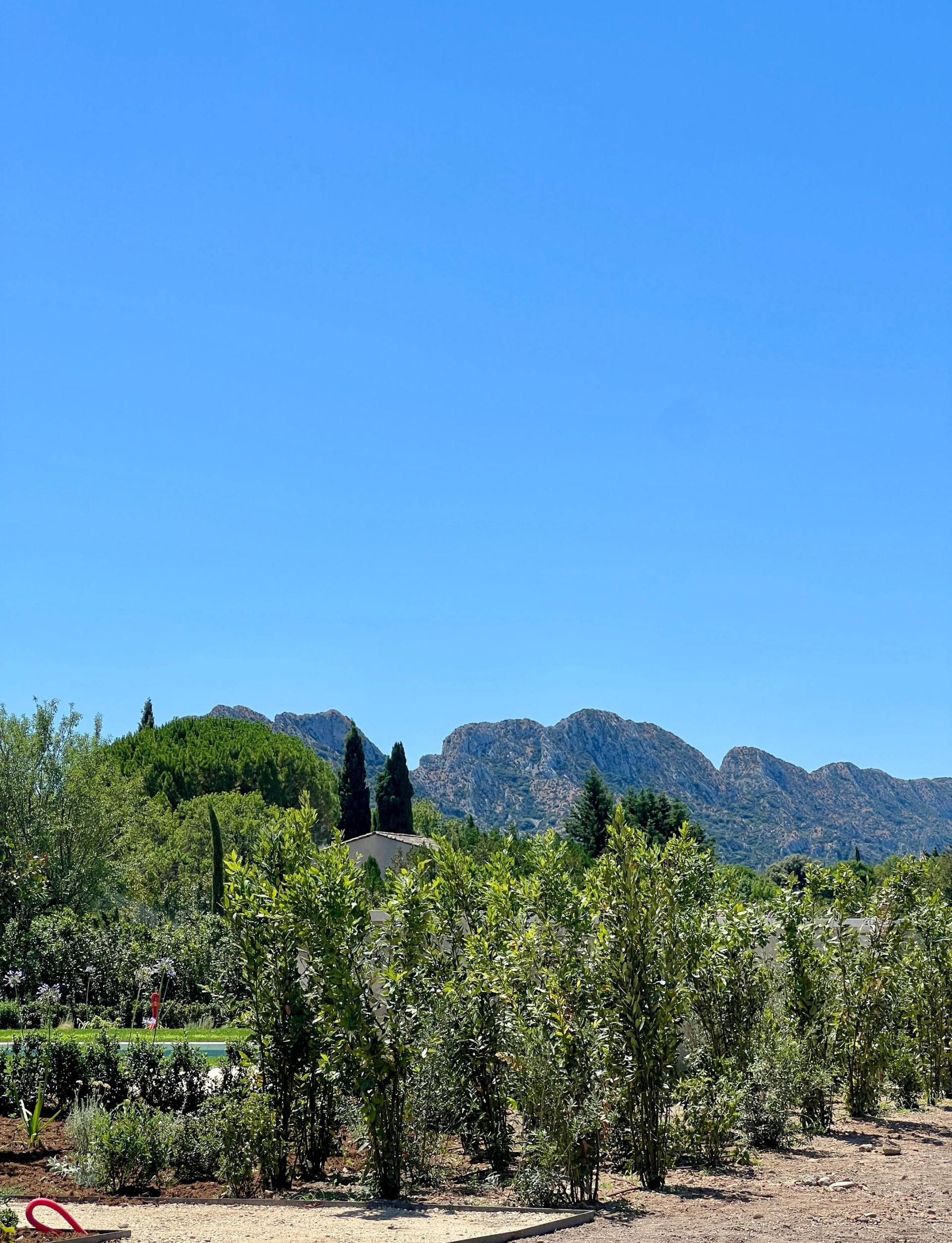 maison de luxe 6 Pièces en vente sur EYGALIERES (13810)