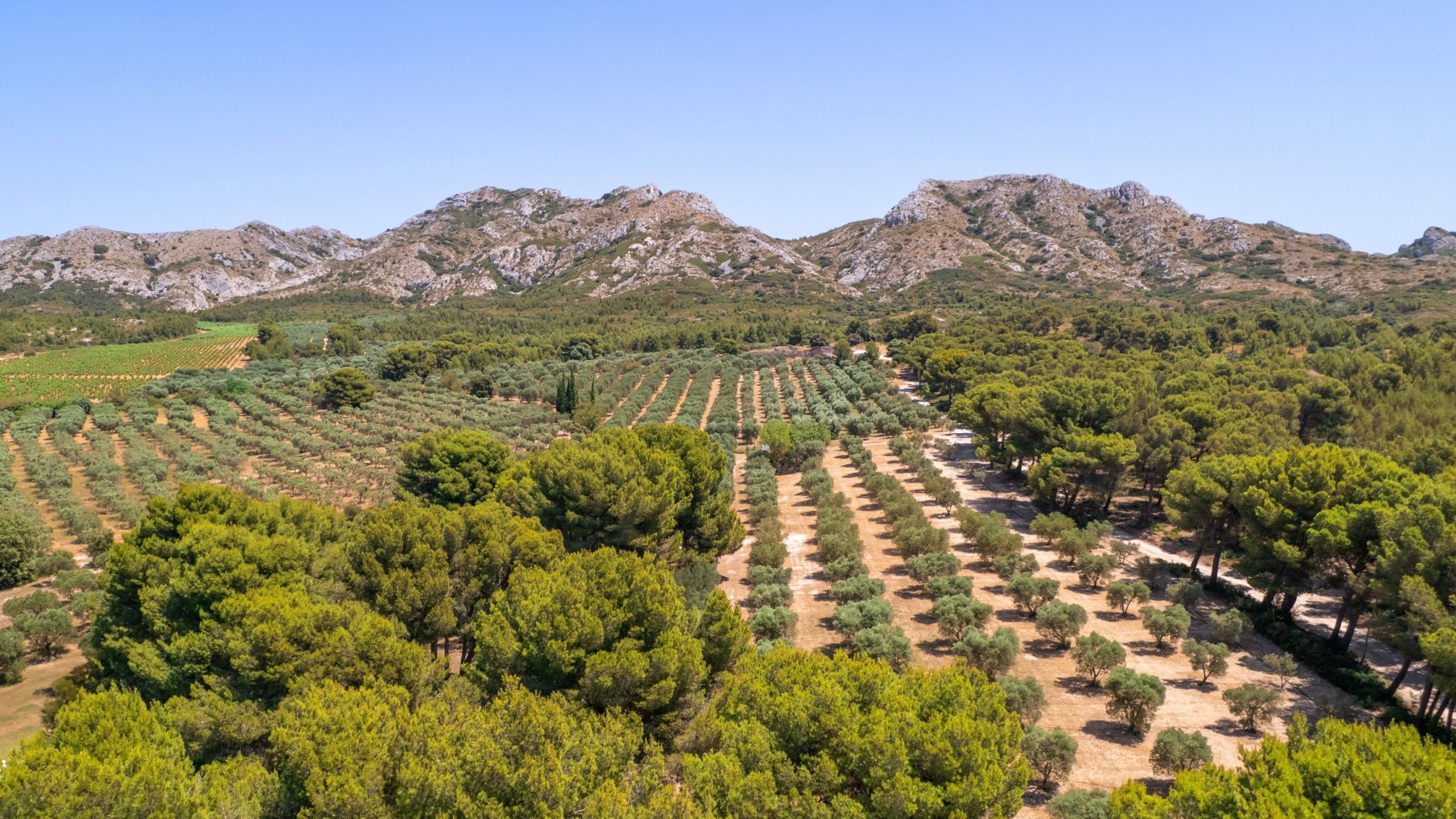 maison de luxe 6 Pièces en vente sur EYGALIERES (13810)