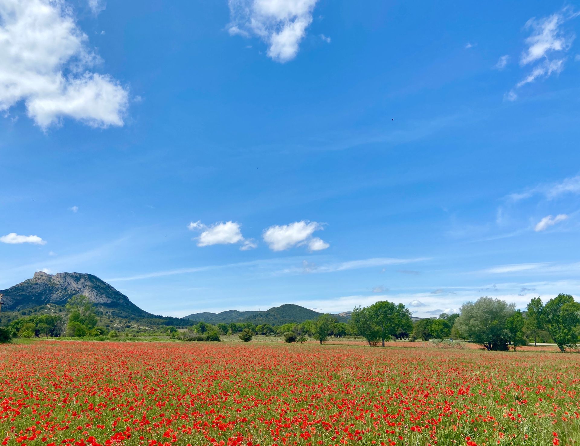 luxury house 6 Rooms for sale on EYGALIERES (13810)