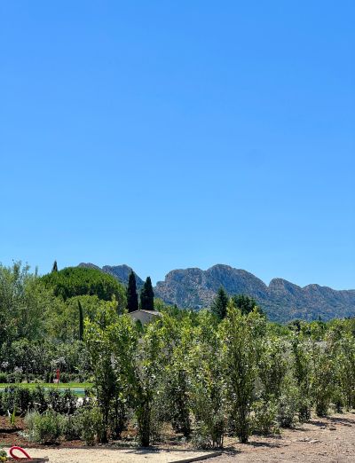 Vente Maison de luxe Eygalières 6&nbsp;Pièces 230&nbsp;m²