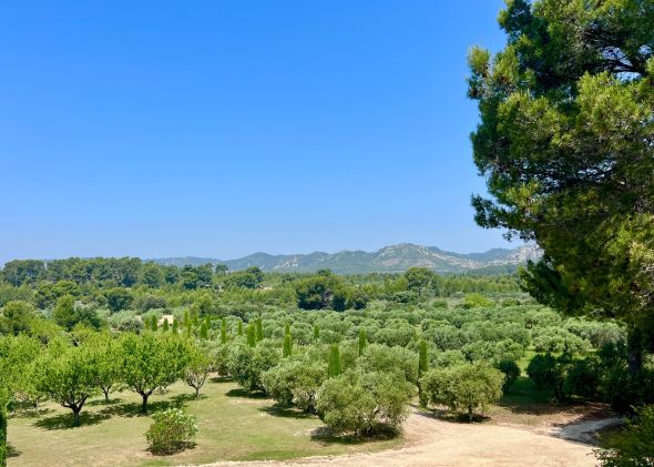 Vente Maison de luxe Eygalières 6&nbsp;Pièces 230&nbsp;m²