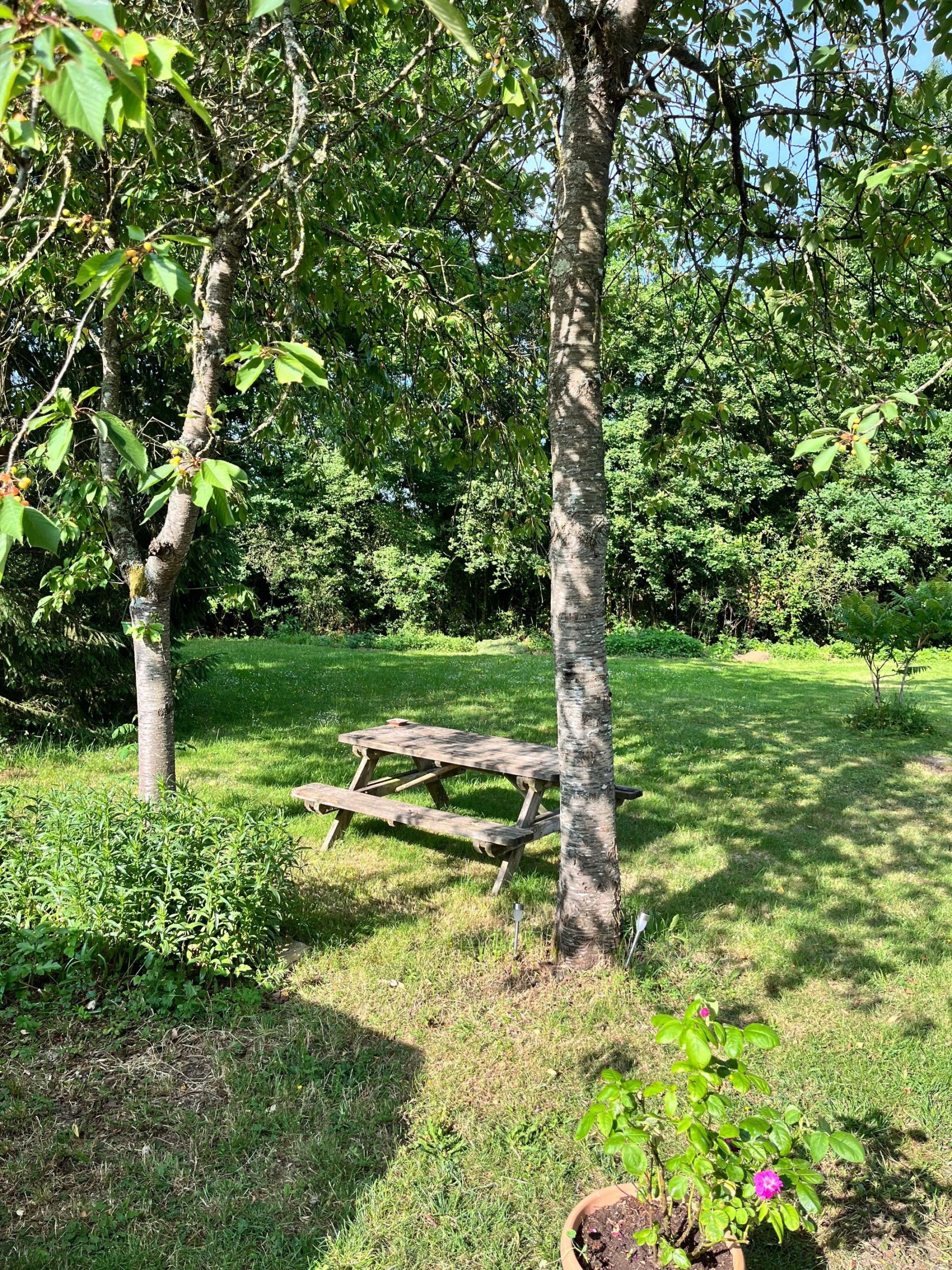 maison de luxe 10 Pièces en vente sur CAMBREMER (14340)