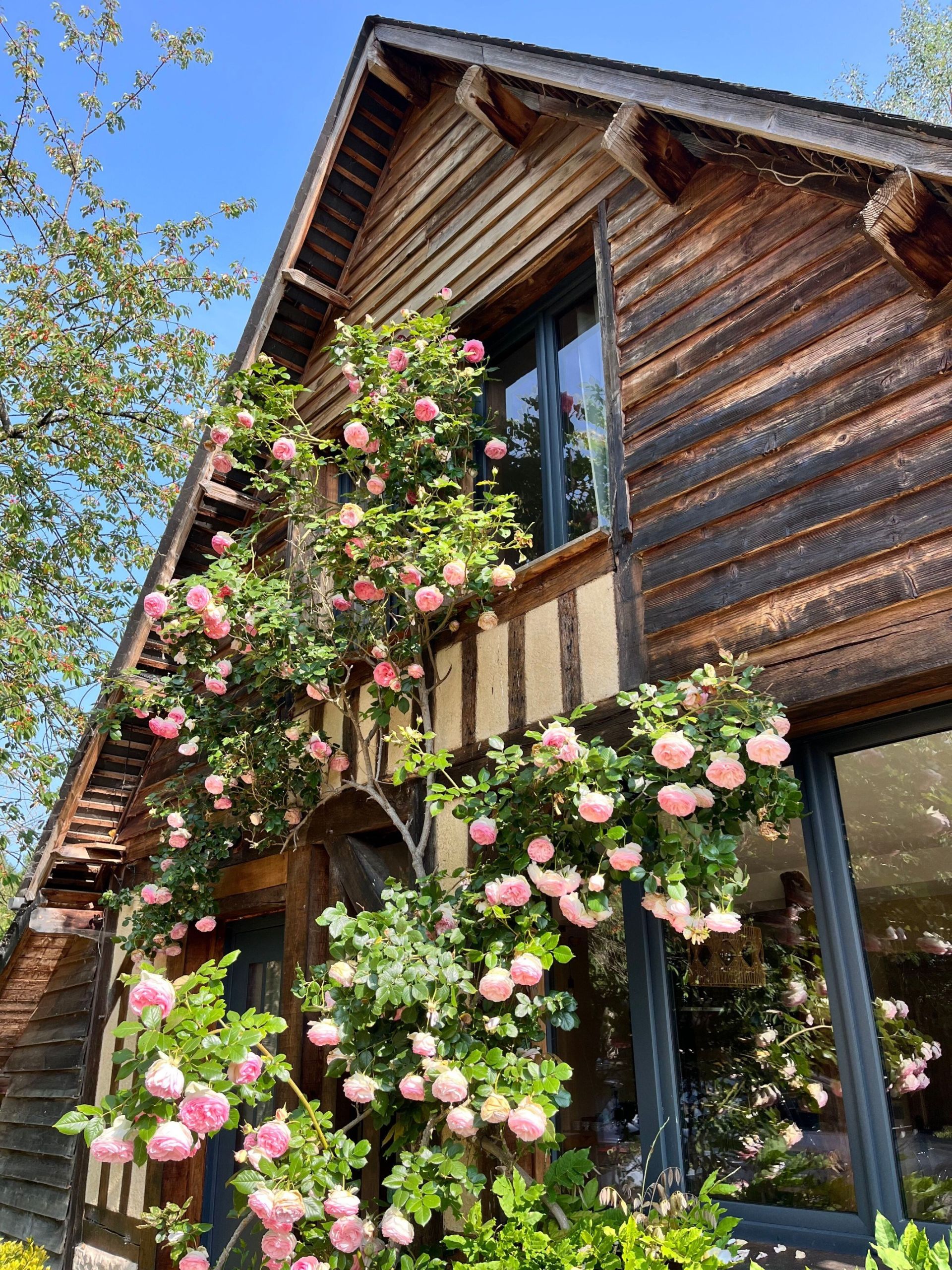 maison de luxe 10 Pièces en vente sur CAMBREMER (14340)