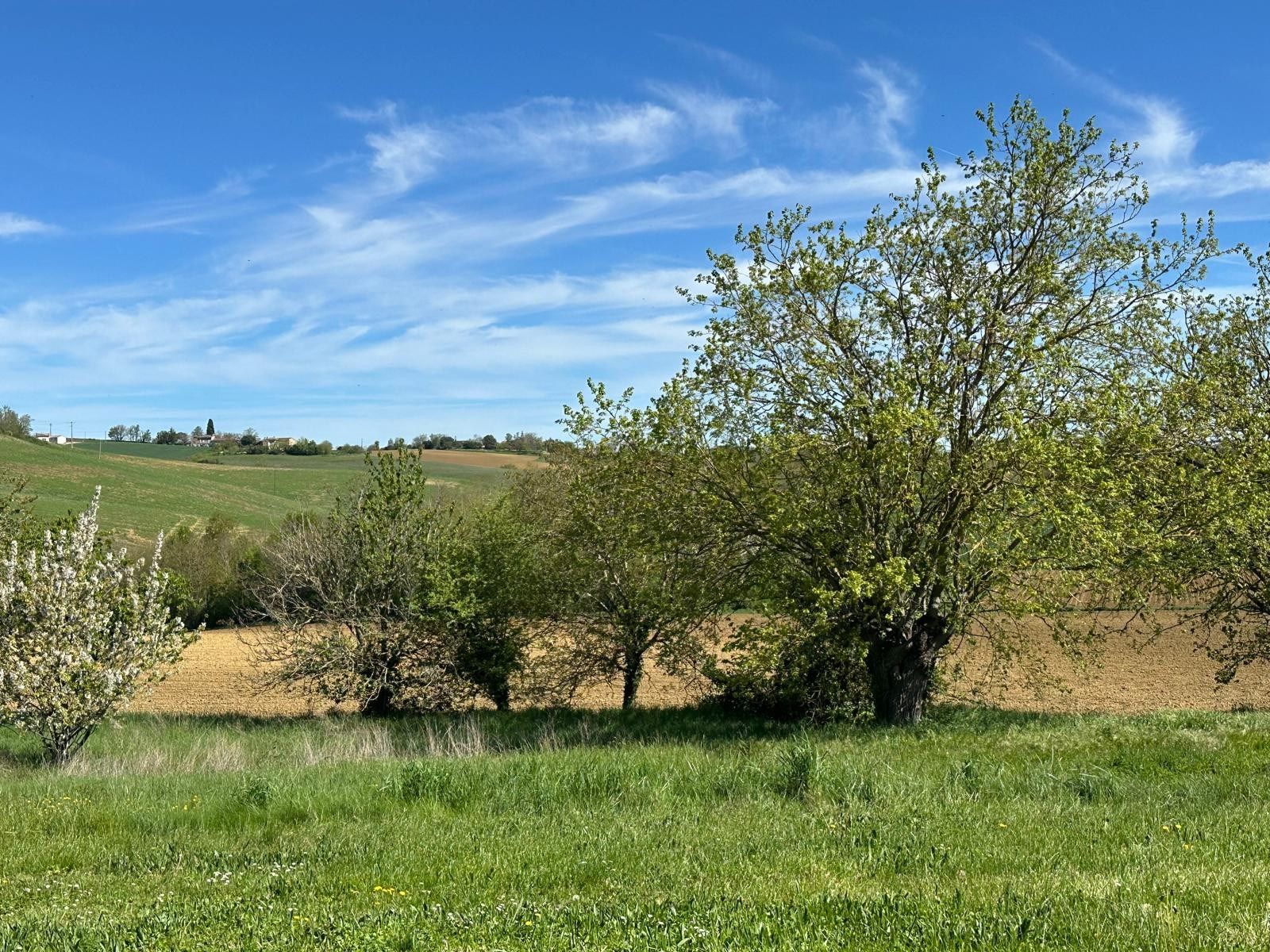 maison de luxe 10 Pièces en vente sur VERFEIL (31590)