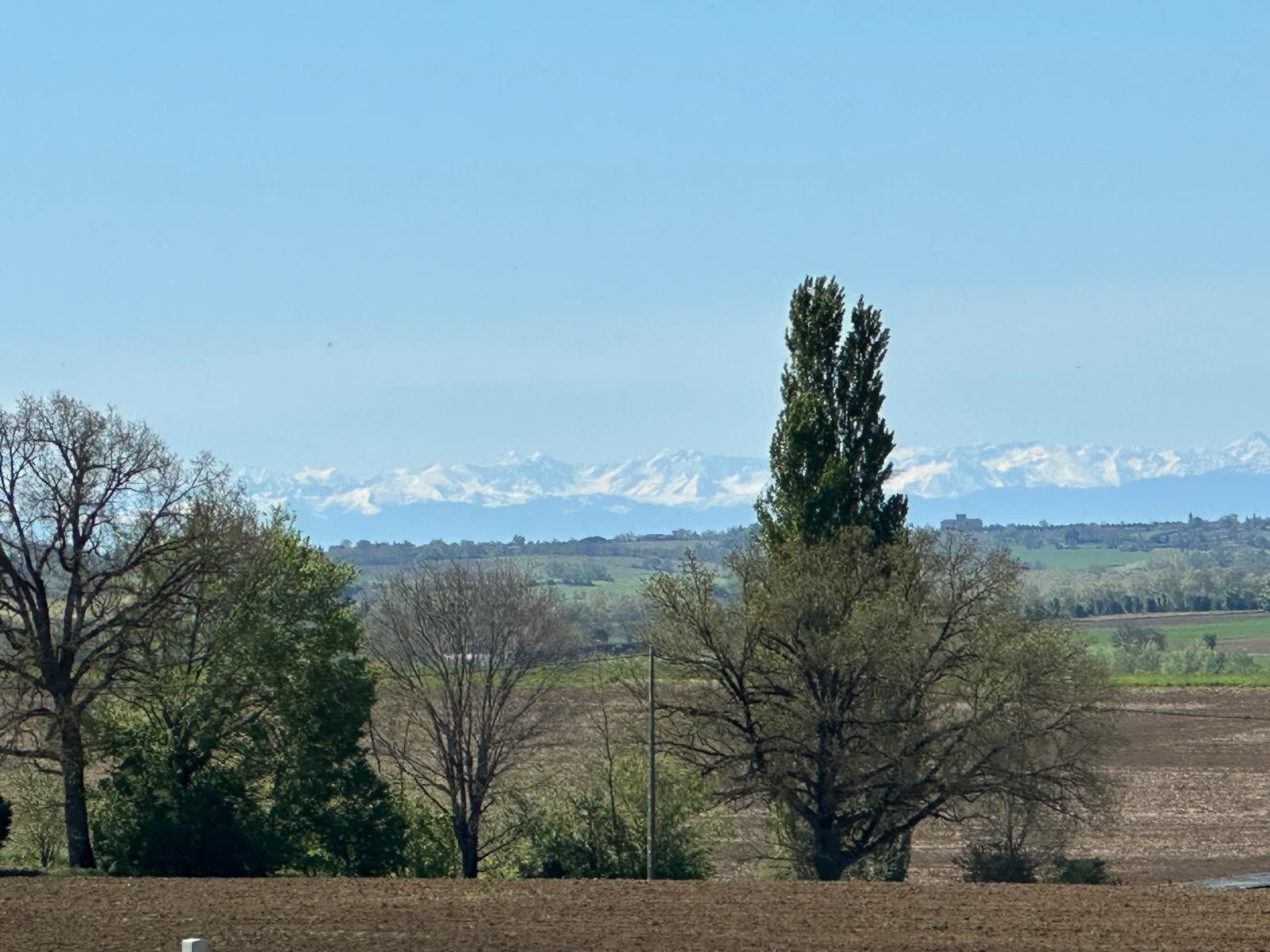 maison de luxe 10 Pièces en vente sur VERFEIL (31590)