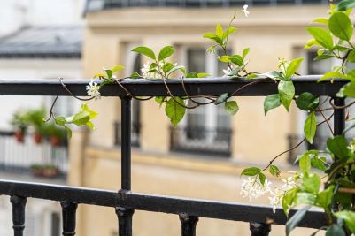 Vente Appartement de luxe Paris 1 3&nbsp;Pièces 63&nbsp;m²