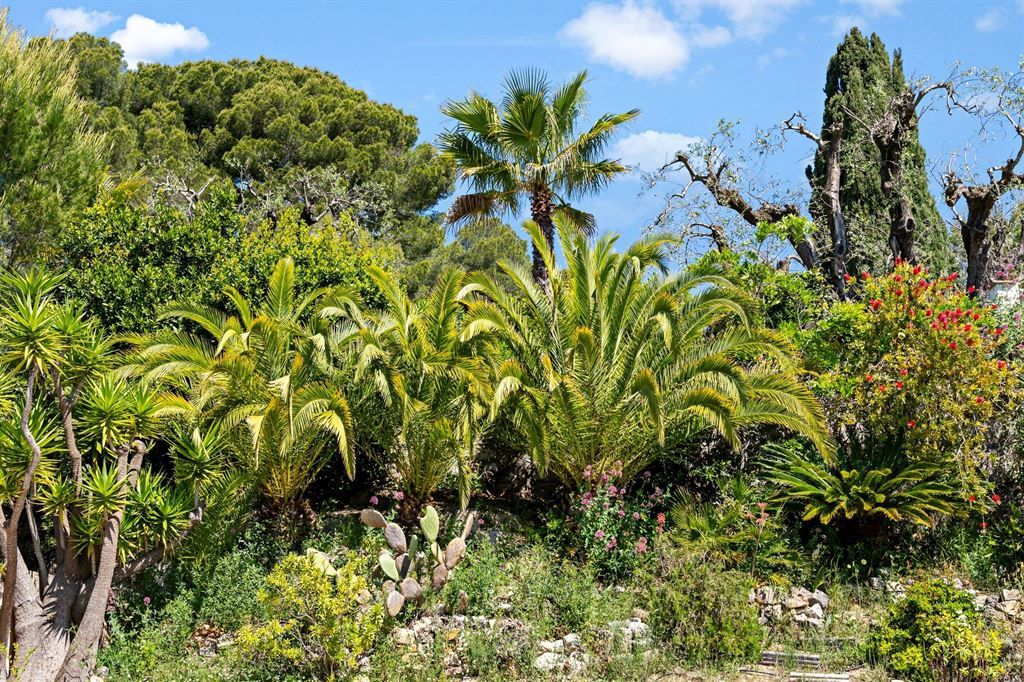 maison provençale de luxe 8 Pièces en vente sur MOUGINS (06250)