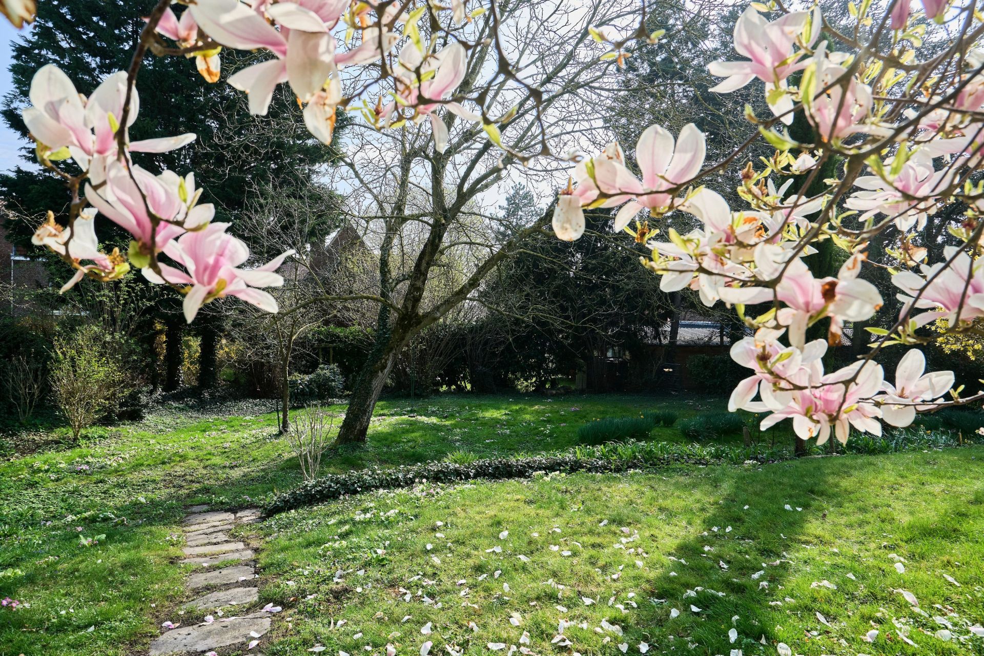 maison de luxe 10 Pièces en vente sur MONS EN BAROEUL (59370)