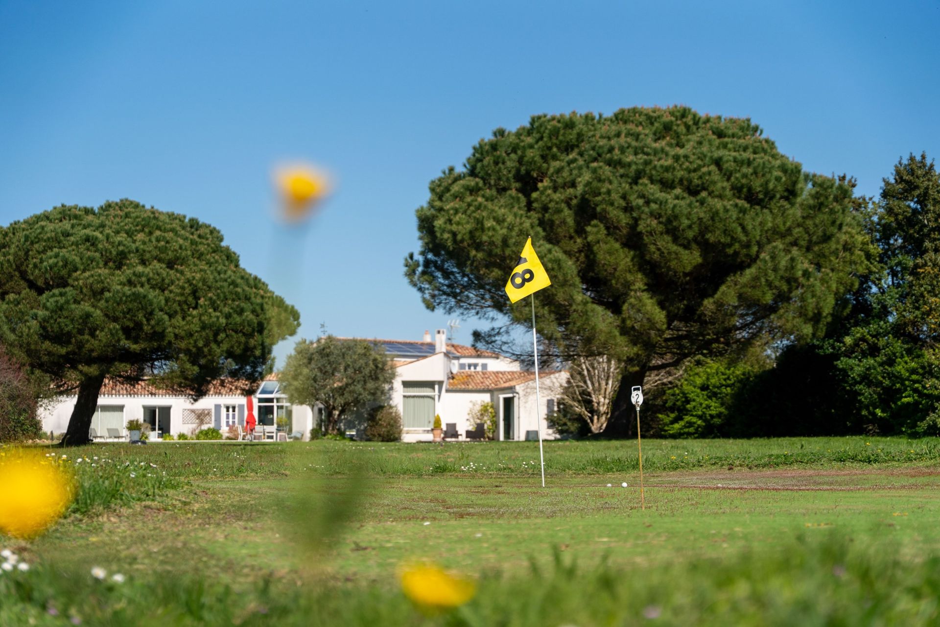 maison de luxe 10 Pièces en vente sur DOLUS D OLERON (17550)