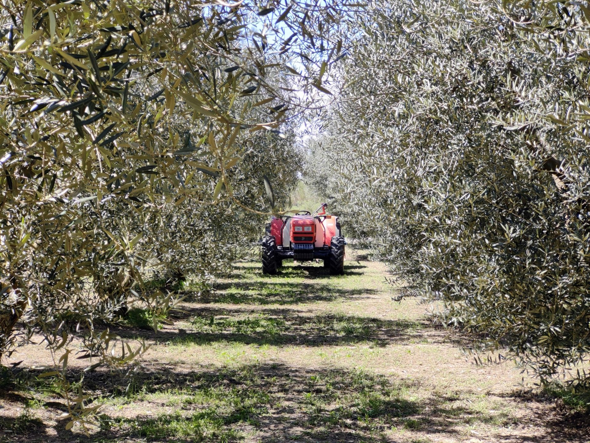 maison de luxe 25 Pièces en vente sur MAUSSANE LES ALPILLES (13520)