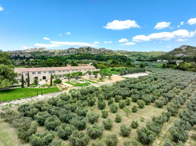 maison de luxe 25 Pièces en vente sur MAUSSANE LES ALPILLES (13520)